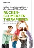 Rückenschmerzen therapieren (eBook, ePUB)