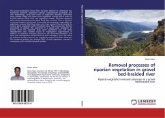 Removal processes of riparian vegetation in gravel bed-braided river