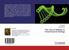 The role of HMGA2 in mesenchymal biology
