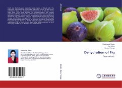 Dehydration of Fig - Shelar, Shubhangi;More, Hari;Yenge, Govind