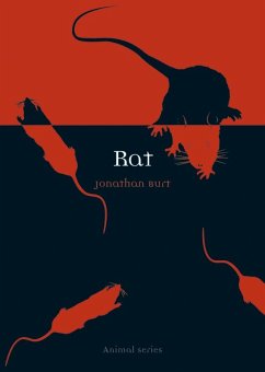 Cover Rat (eBook, ePUB)