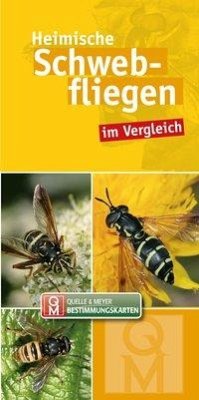 Heimische Schwebfliegen