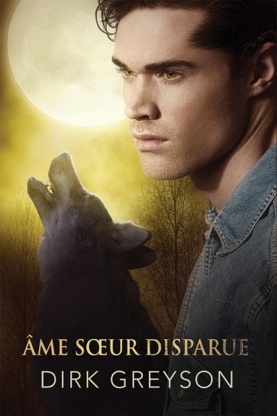 Âme soeur disparue (eBook, ePUB)