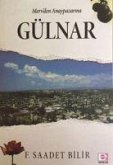 Mervden Anaypazarina Gülnar Mervden Anaypazarina Gülnar