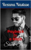 Payback Is a Bitch (Josh Aldridge - PI, #0) (eBook, ePUB)