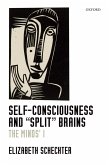 Self-Consciousness and &quote;Split&quote; Brains (eBook, ePUB)