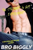 The Straight to Gay Experiment: A First Time Gay for Pay Novella (eBook, ePUB) The Straight to Gay Experiment: A First Time Gay for Pay Novella (eBook, ePUB)