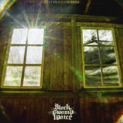 Cover Distant Thunder