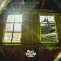 Cover Distant Thunder
