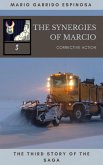 synergies of Marcio 3: Corrective actions (eBook, ePUB)