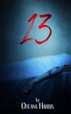 13 (eBook, ePUB)