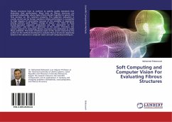 Soft Computing and Computer Vision For Evaluating Fibrous Structures