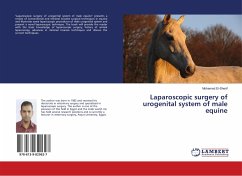 Laparoscopic surgery of urogenital system of male equine