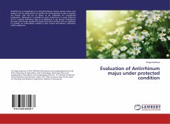 Evaluation of Antirrhinum majus under protected condition