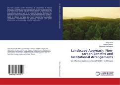 Landscape Approach, Non-carbon Benefits and Institutional Arrangements