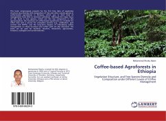Coffee-based Agroforests in Ethiopia