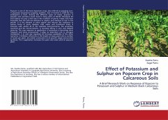 Effect of Potassium and Sulphur on Popcorn Crop in Calcareous Soils