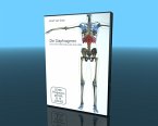 Die Diaphragmen - Ganzheitliche Behandlung des Zwerchfells, 1 DVD-Video