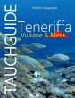 Tauchguide Teneriffa - Bild 1