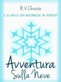 Avventura Sulla Neve (eBook, PDF)