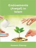 Endowments in Islam (eBook, ePUB)