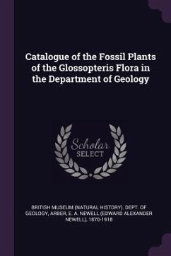 Catalogue of the Fossil Plants of the Glossopteris Flora in the Department of Geology - Arber, E a Newell