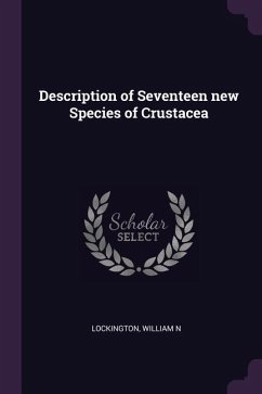 Description of Seventeen new Species of Crustacea