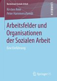 Arbeitsfelder und Organisationen der Sozialen Arbeit (eBook, PDF)