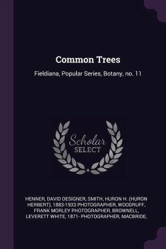 Common Trees - Henner, David Designer; Smith, Huron H Photographer; Woodruff, Frank Morley Photographer