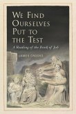 We Find Ourselves Put to the Test (eBook, ePUB)