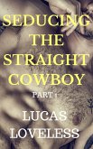 Seducing the Straight Cowboy: Part 1 (eBook, ePUB)