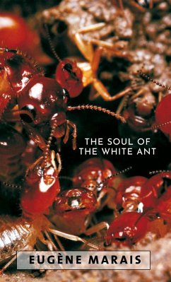 Cover The Soul of the White Ant (eBook, ePUB)