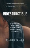 Indestructible (eBook, ePUB)