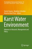 Karst Water Environment (eBook, PDF)
