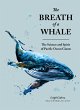 The Breath of a Whale - Bild 1