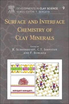 Surface and Interface Chemistry of Clay Minerals