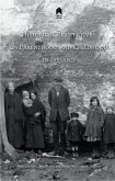 Historical Perspectives on Parenthood and Childhood in Ireland