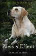 Paws & Effect (eBook, ePUB) - Bild 1
