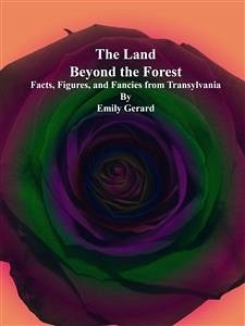 The Land Beyond the Forest (eBook, ePUB) - Gerard, Emily