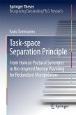 Task-space Separation Principle (eBook, PDF)