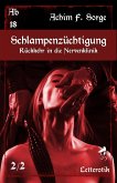 Schlampenzüchtigung: Rückkehr in die Nervenklinik (eBook, ePUB)