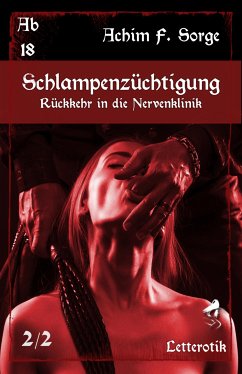 Schlampenzüchtigung: Rückkehr in die Nervenklinik (eBook, ePUB) - F. Sorge, Achim