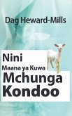 Nini Maana ya Kuwa Mchunga Kondoo (eBook, ePUB)