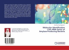 Molecular Identification (16S rRNA Gene) of Amylase-Producing Bacteria