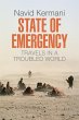 State of Emergency (eBook, ePUB) - Bild 1