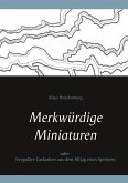 Merkwürdige Miniaturen (eBook, ePUB)