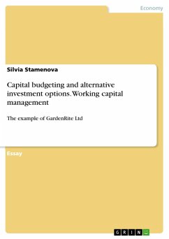 Capital budgeting and alternative investment options. Working capital management (eBook, PDF) - Stamenova, Silvia