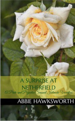 A Surprise at Netherfield: A Pride and Prejudice Sensual Intimate Novella (Mr. Darcy's Secret Engagement, #2) (eBook, ePUB) - Hawksworth, Abbie