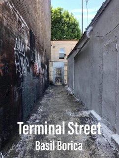 Cover Terminal Street (eBook, ePUB)
