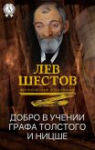 Добро в учении графа Толстого и Ницше (eBook, ePUB)